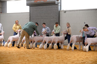 Sandhills 2024 Showmanship Lambs
